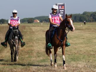 A Castiglione del Lago torna l’Endurance equestre: su il sipario per lo Zigulí Test Event FEI Endurance European Championship